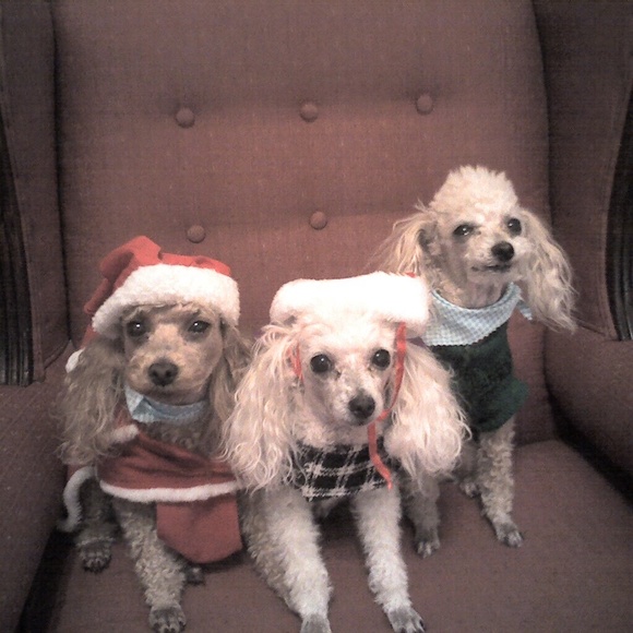 Meet Your Posher, Robin! - Picture 10 of 16